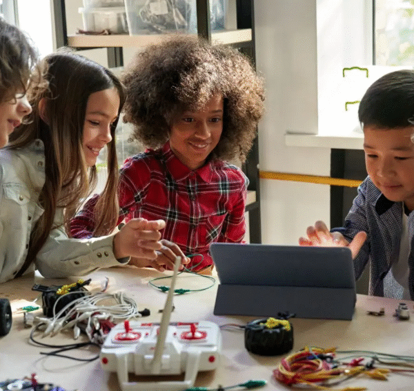 How Academic Rigor in STEM Impacts Student Holistic Health