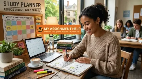 How to Create A Study Plan for College to Reduce Academic Stress and Burnout